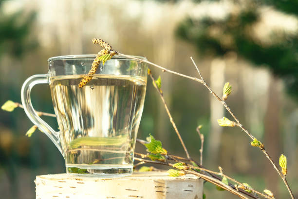 Istockphoto 1198541745 612x612